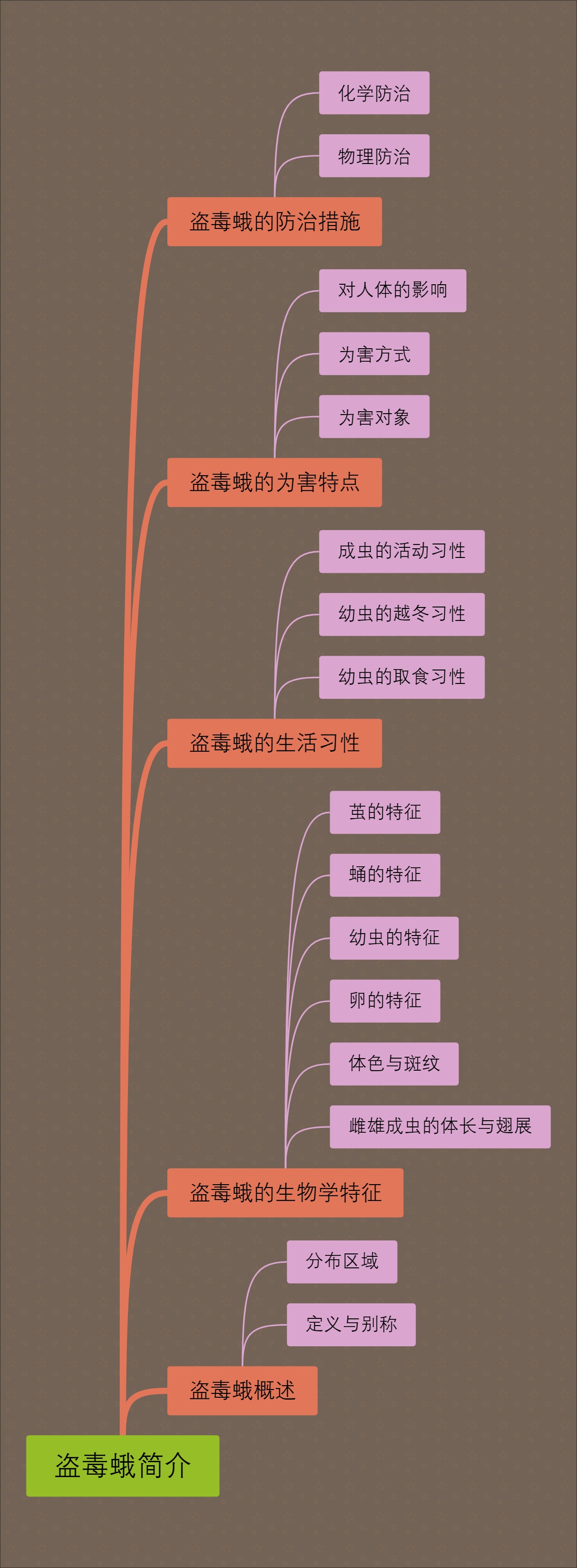 盗毒蛾简介