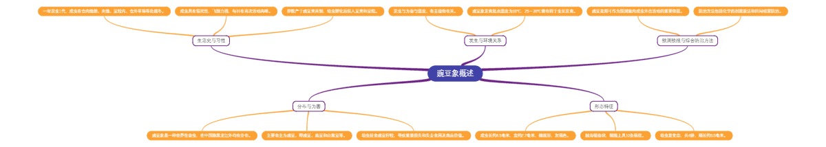 豌豆象概述