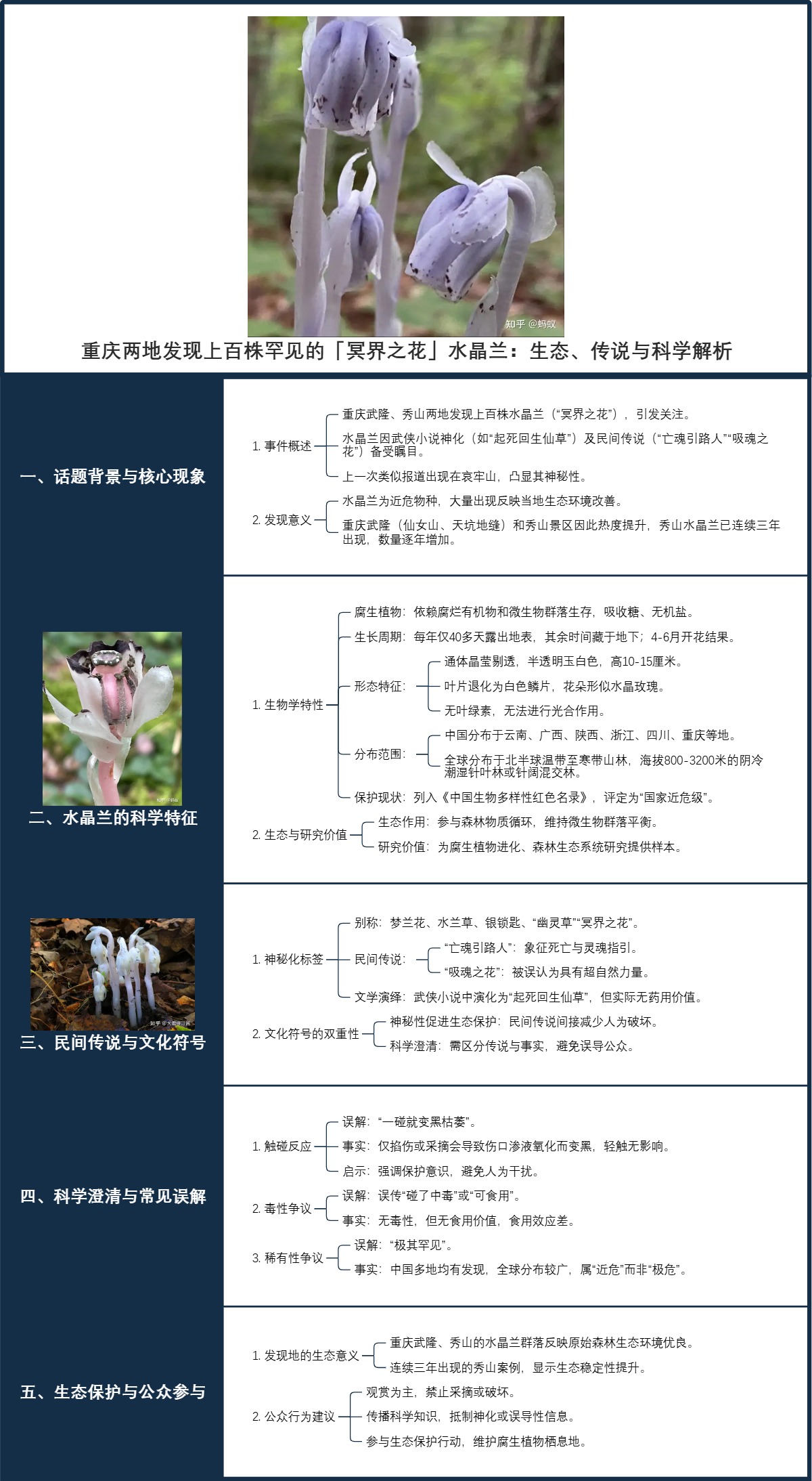「冥界之花」水晶兰在渝现身：生态、传说与科学解析