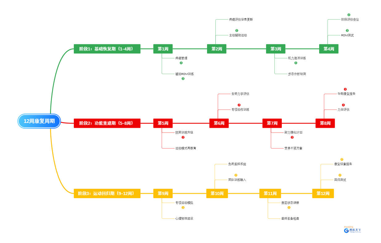 12周康复周期