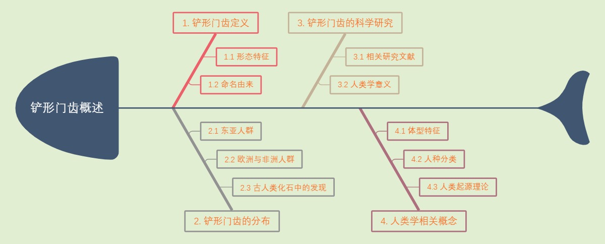 铲形门齿概述