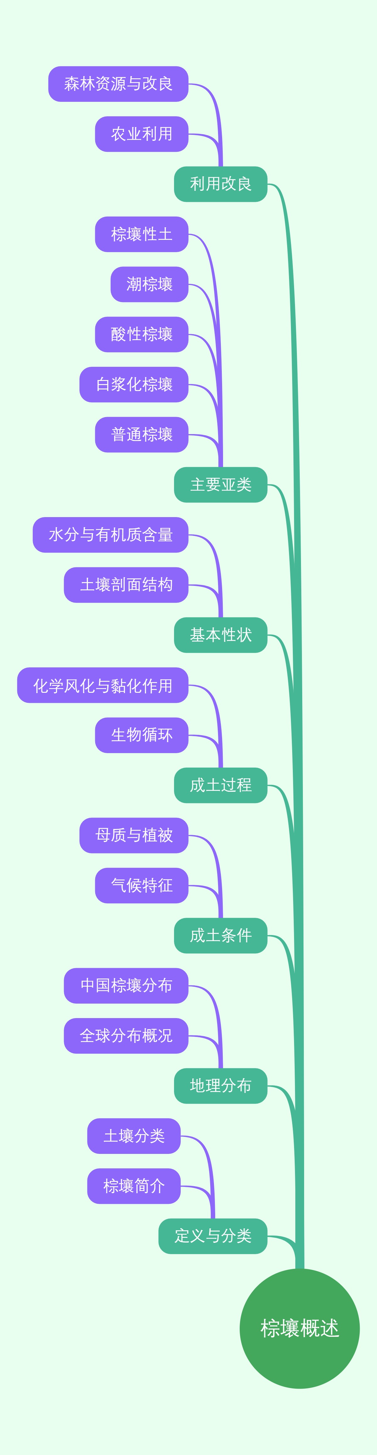 棕壤概述
