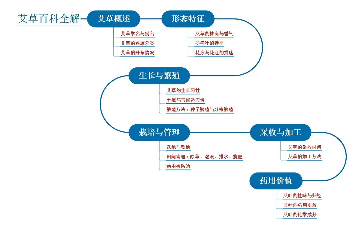 艾草百科全解
