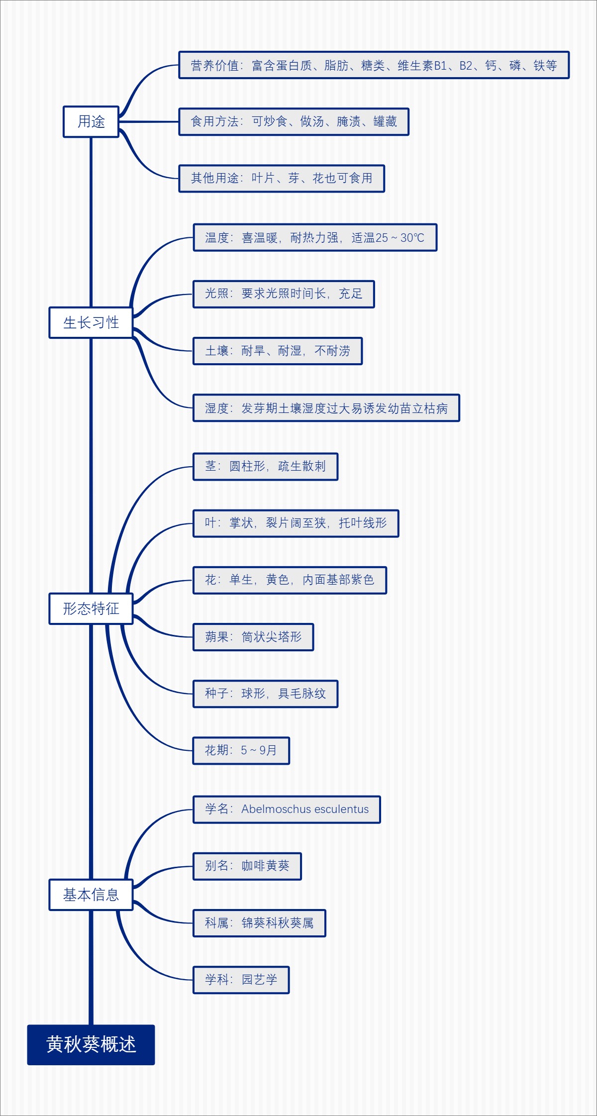 黄秋葵概述