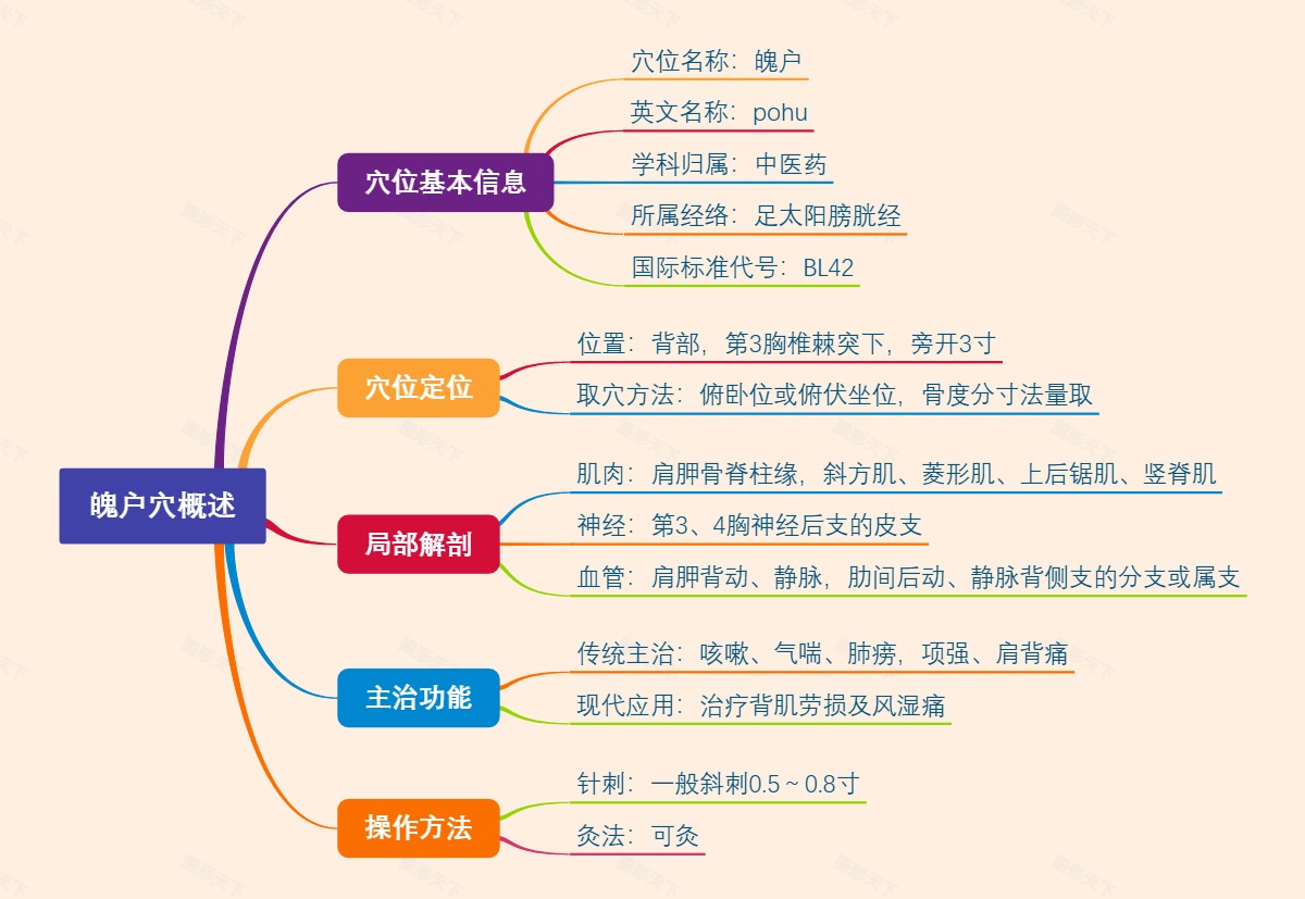 魄户穴概述