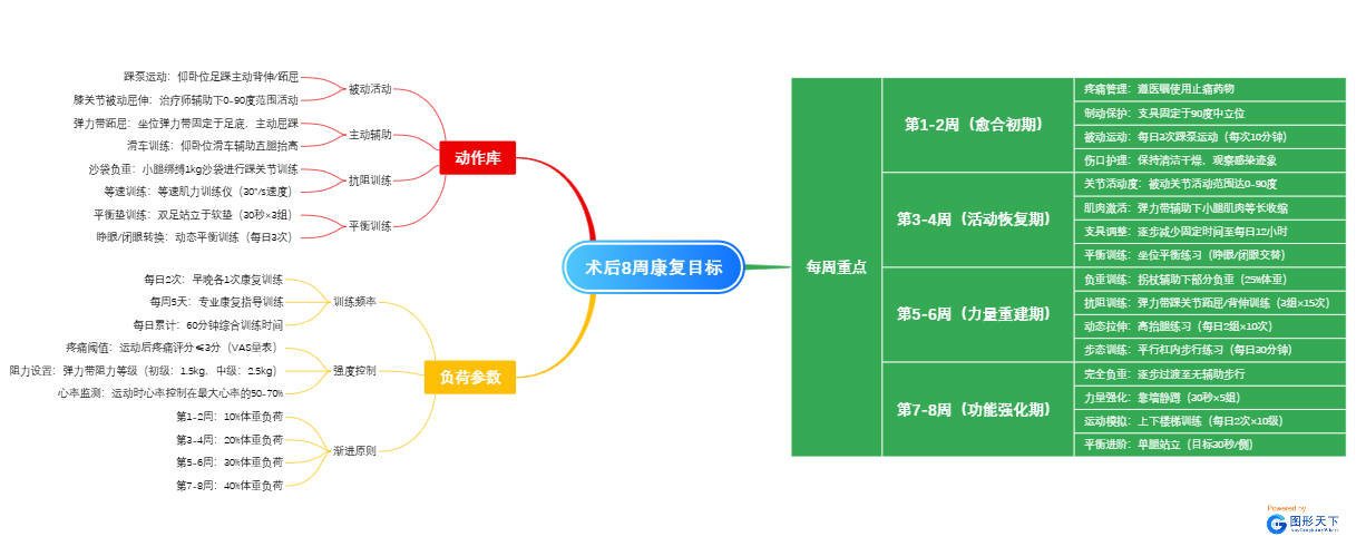 术后8周康复目标